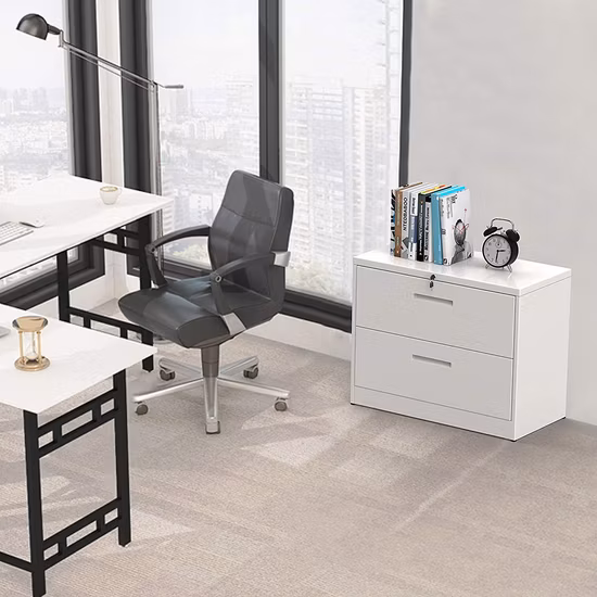 Classeur latéral à 2 tiroirs classeur en métal bureau maison armoires de rangement larges en acier